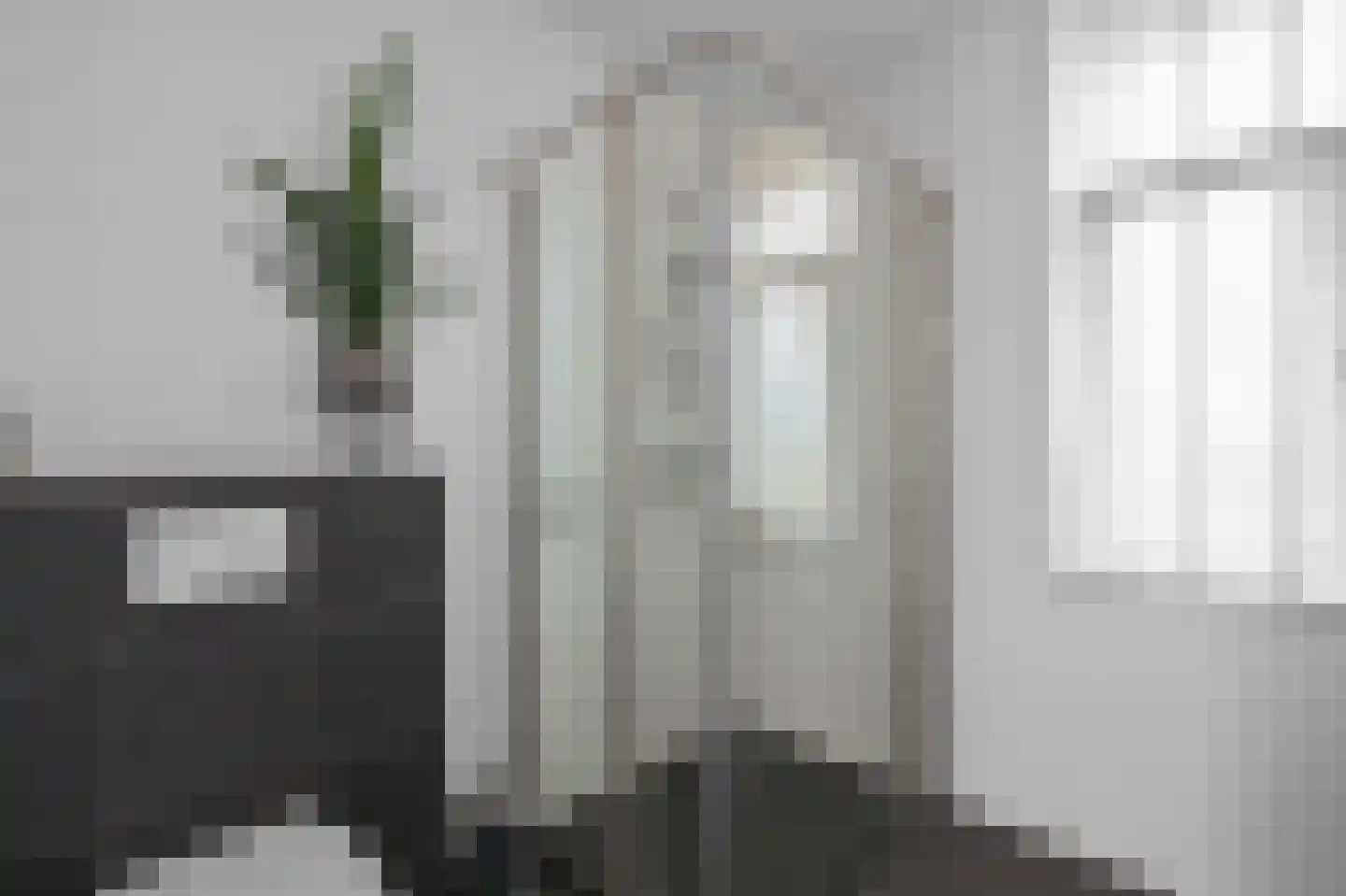 Liguster 8 Nieuwveen thumbnail 24