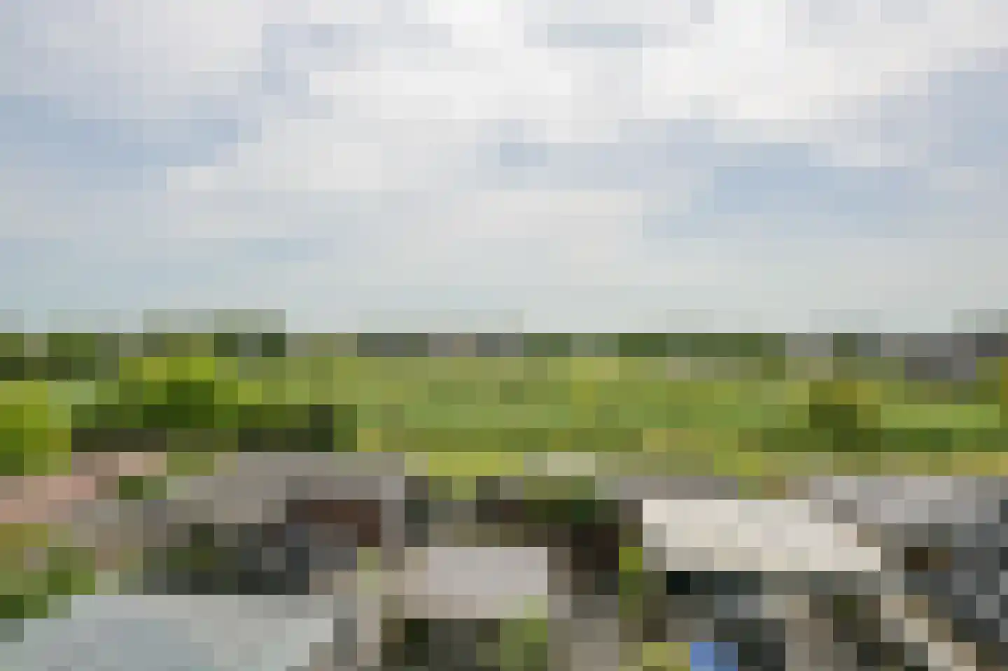 Liguster 8 Nieuwveen thumbnail 33
