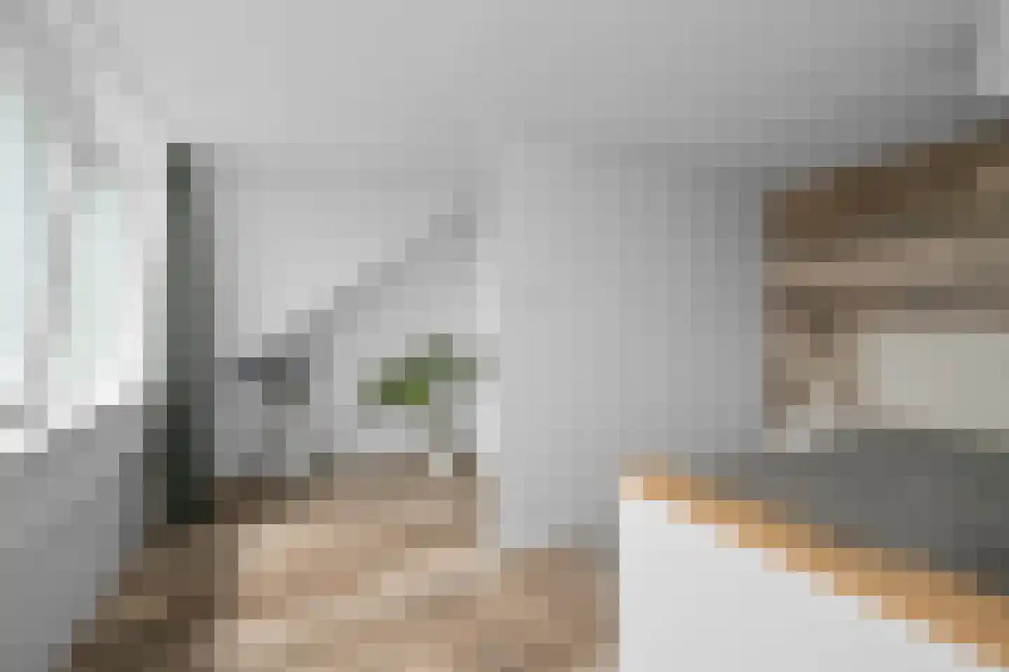 Liguster 8 Nieuwveen thumbnail 34