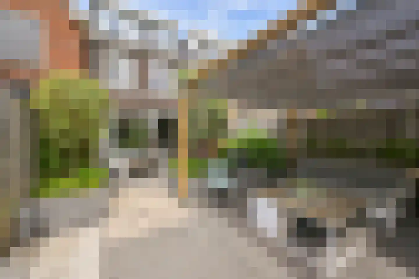 Liguster 8 Nieuwveen thumbnail 36