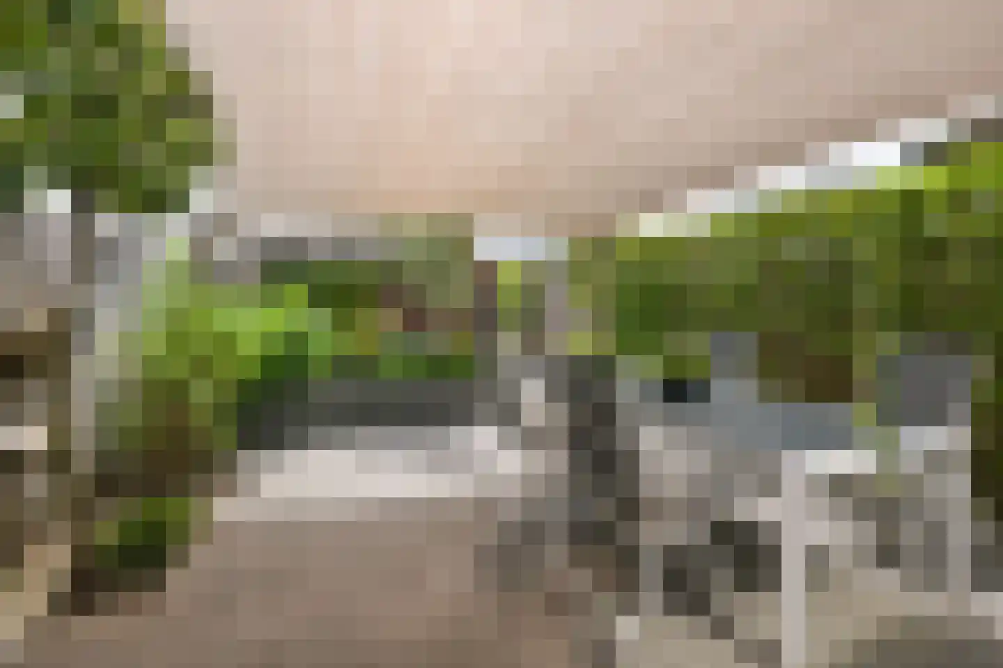 Liguster 8 Nieuwveen thumbnail 38