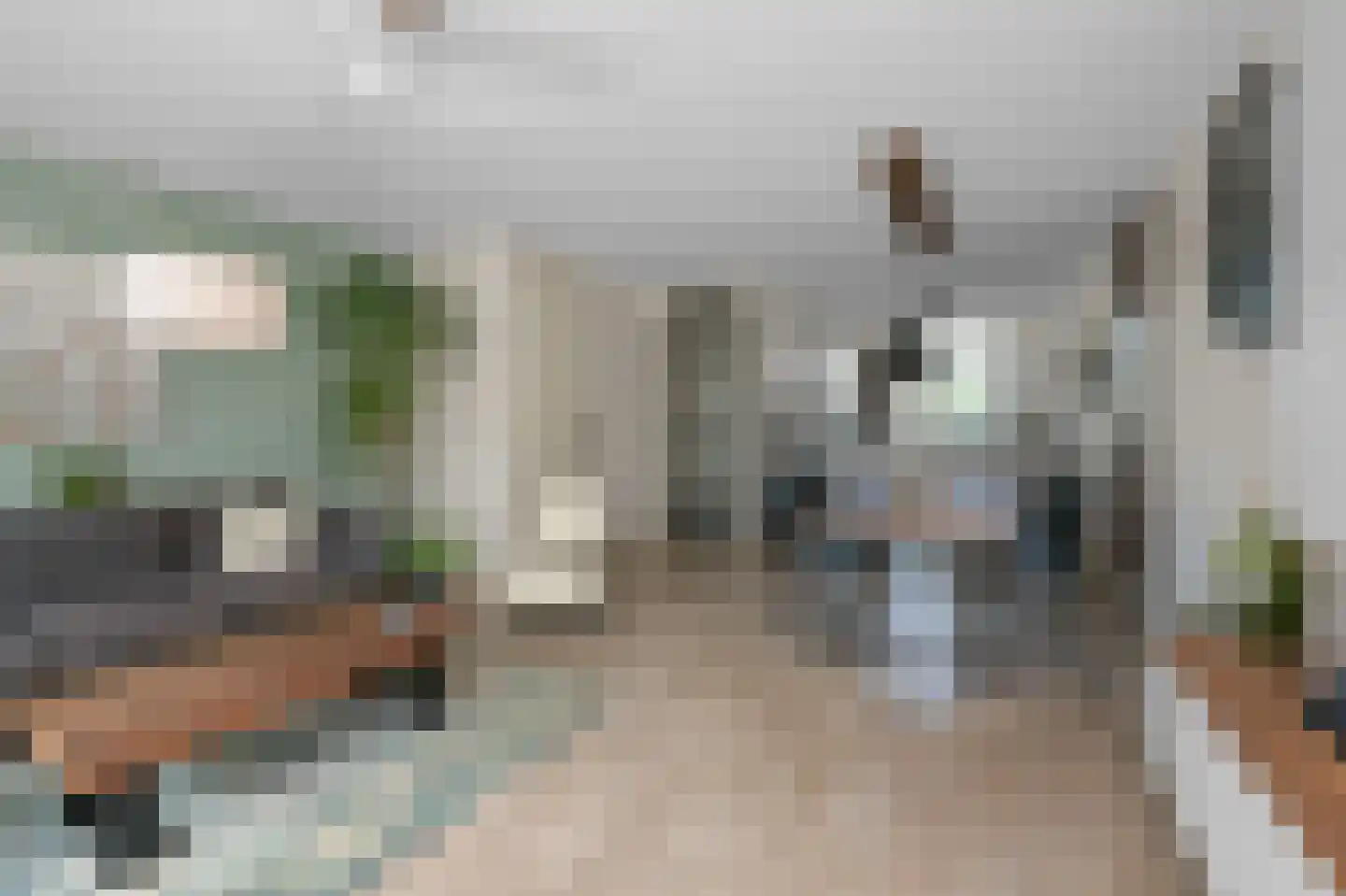 Liguster 8 Nieuwveen thumbnail 4