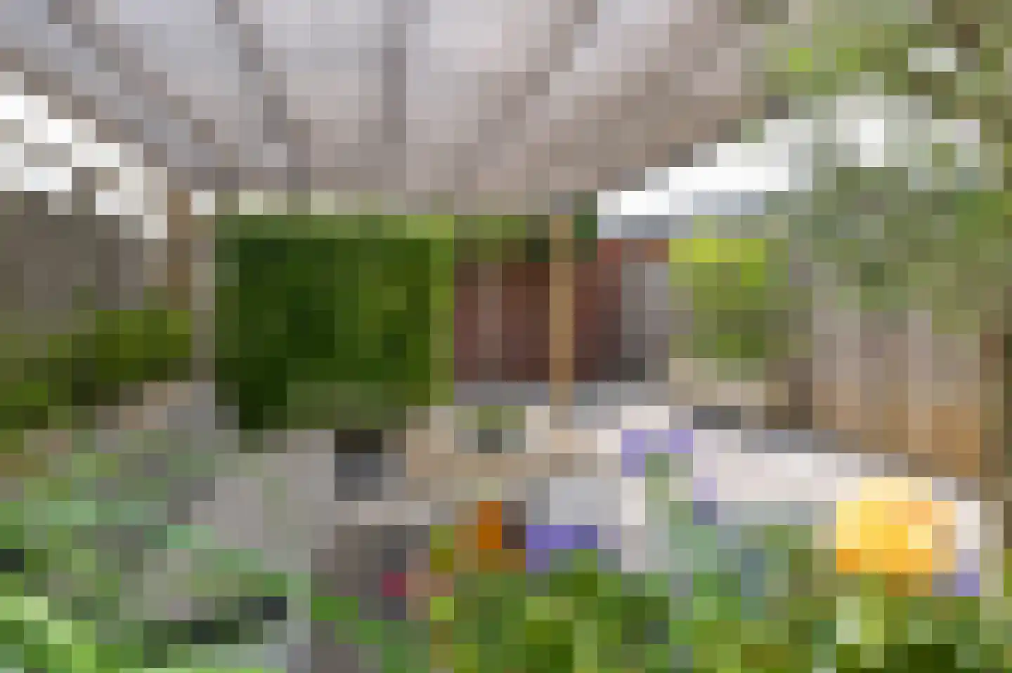 Liguster 8 Nieuwveen thumbnail 40
