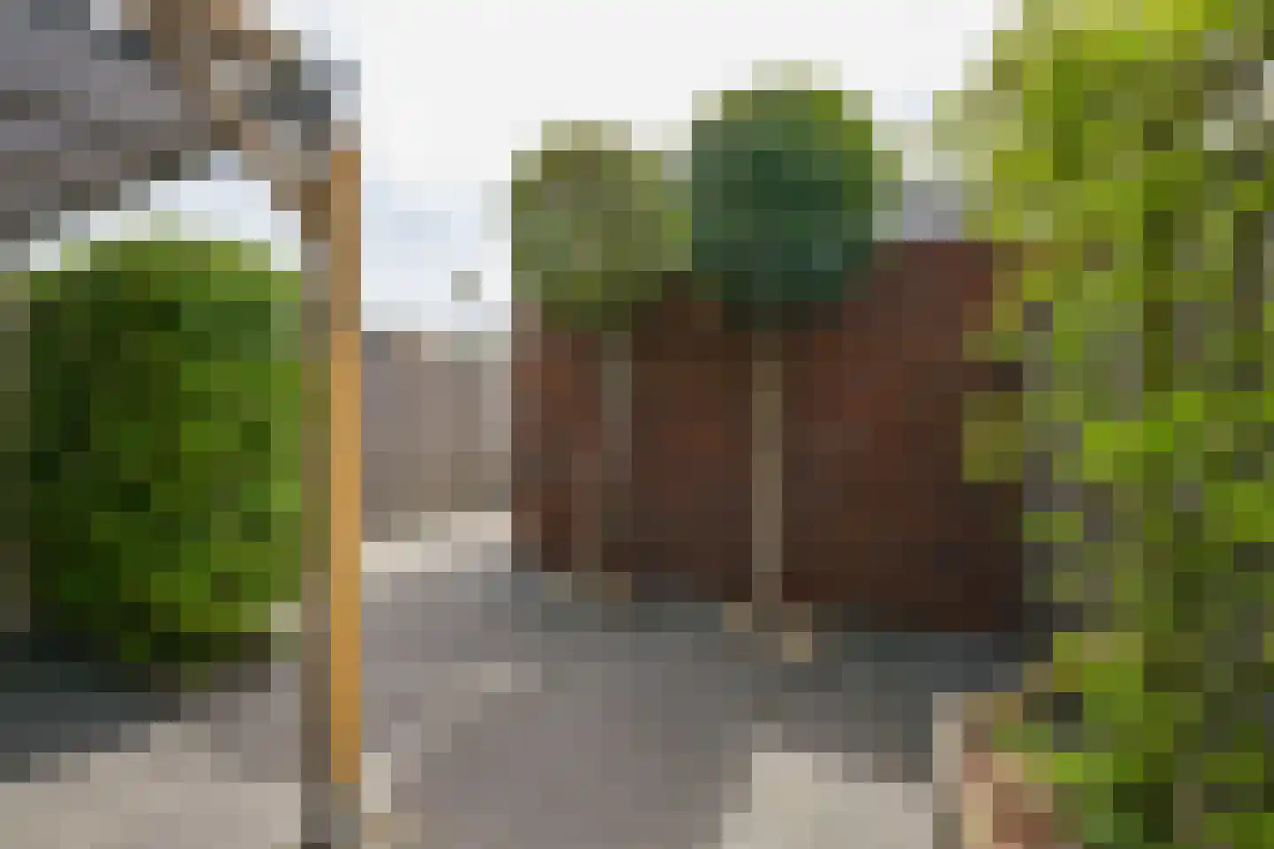 Liguster 8 Nieuwveen thumbnail 42