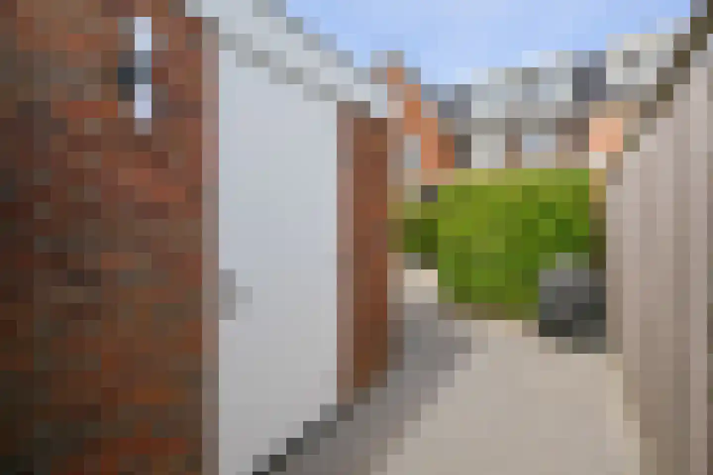Liguster 8 Nieuwveen thumbnail 43