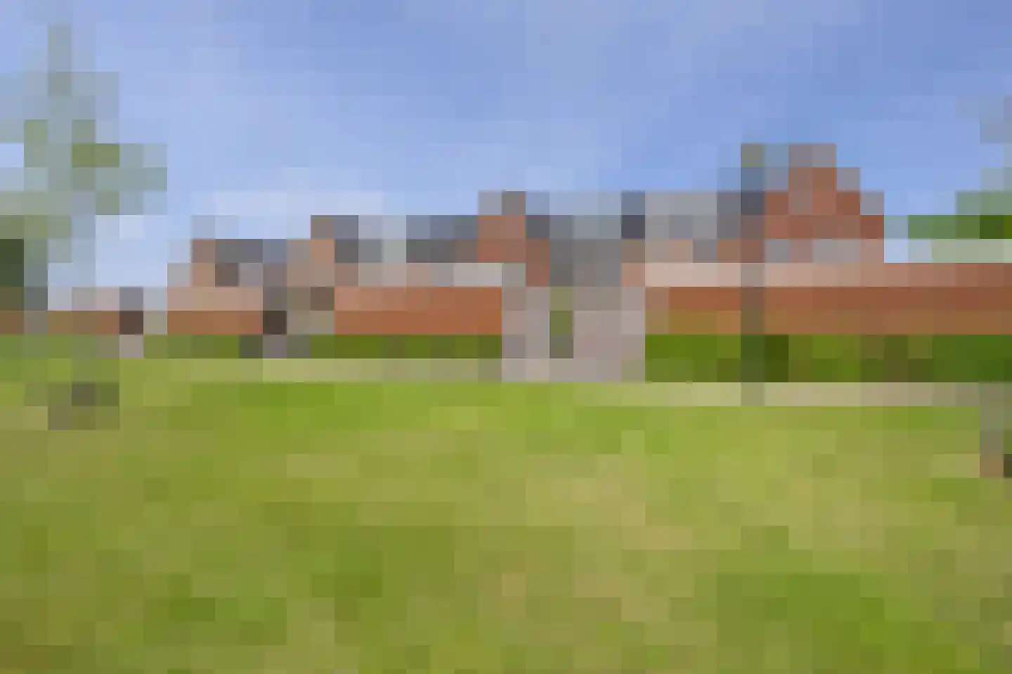 Liguster 8 Nieuwveen thumbnail 44