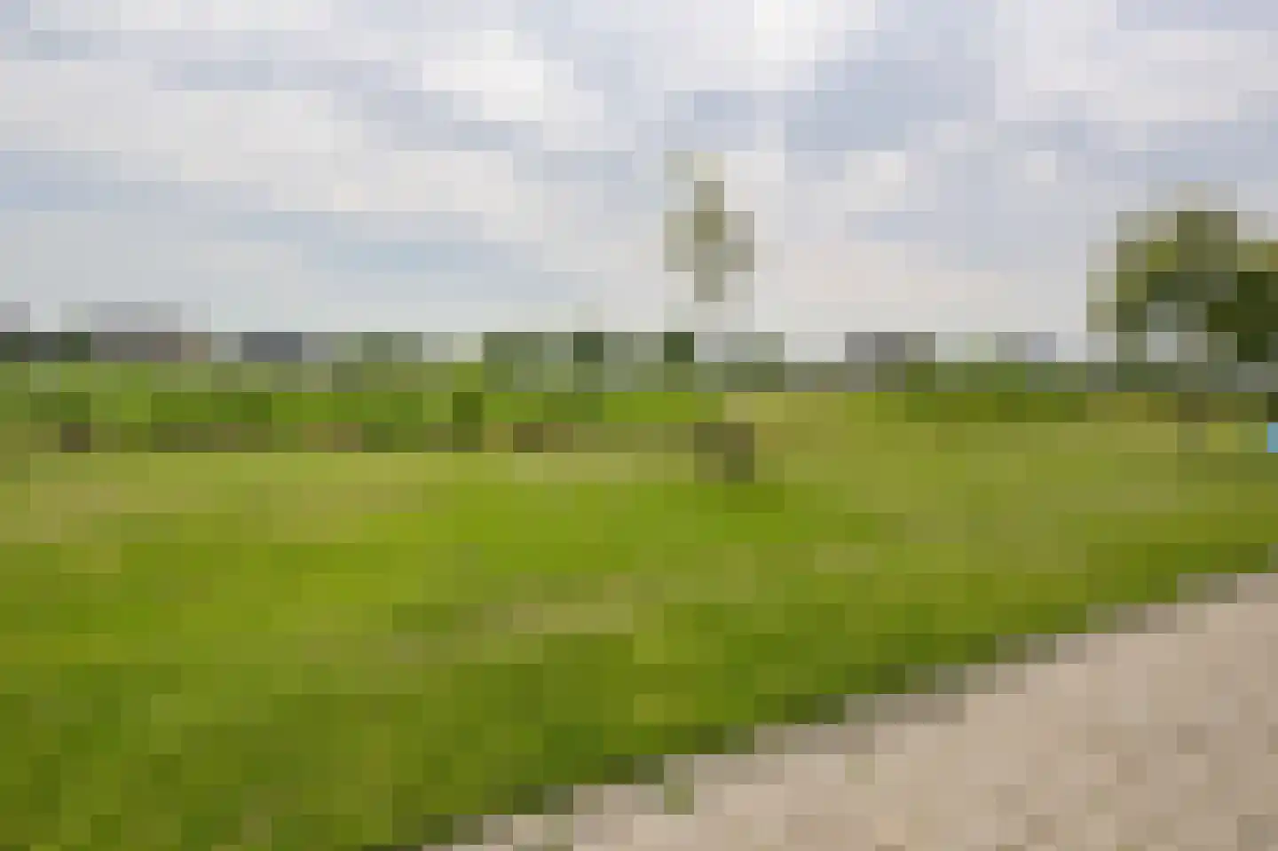 Liguster 8 Nieuwveen thumbnail 45