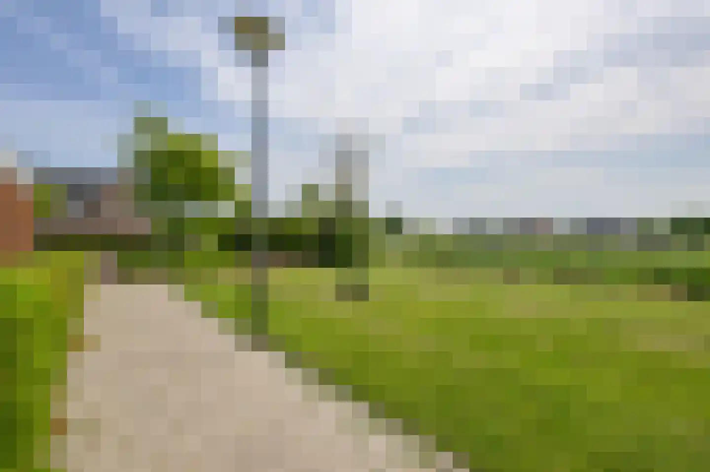 Liguster 8 Nieuwveen thumbnail 46