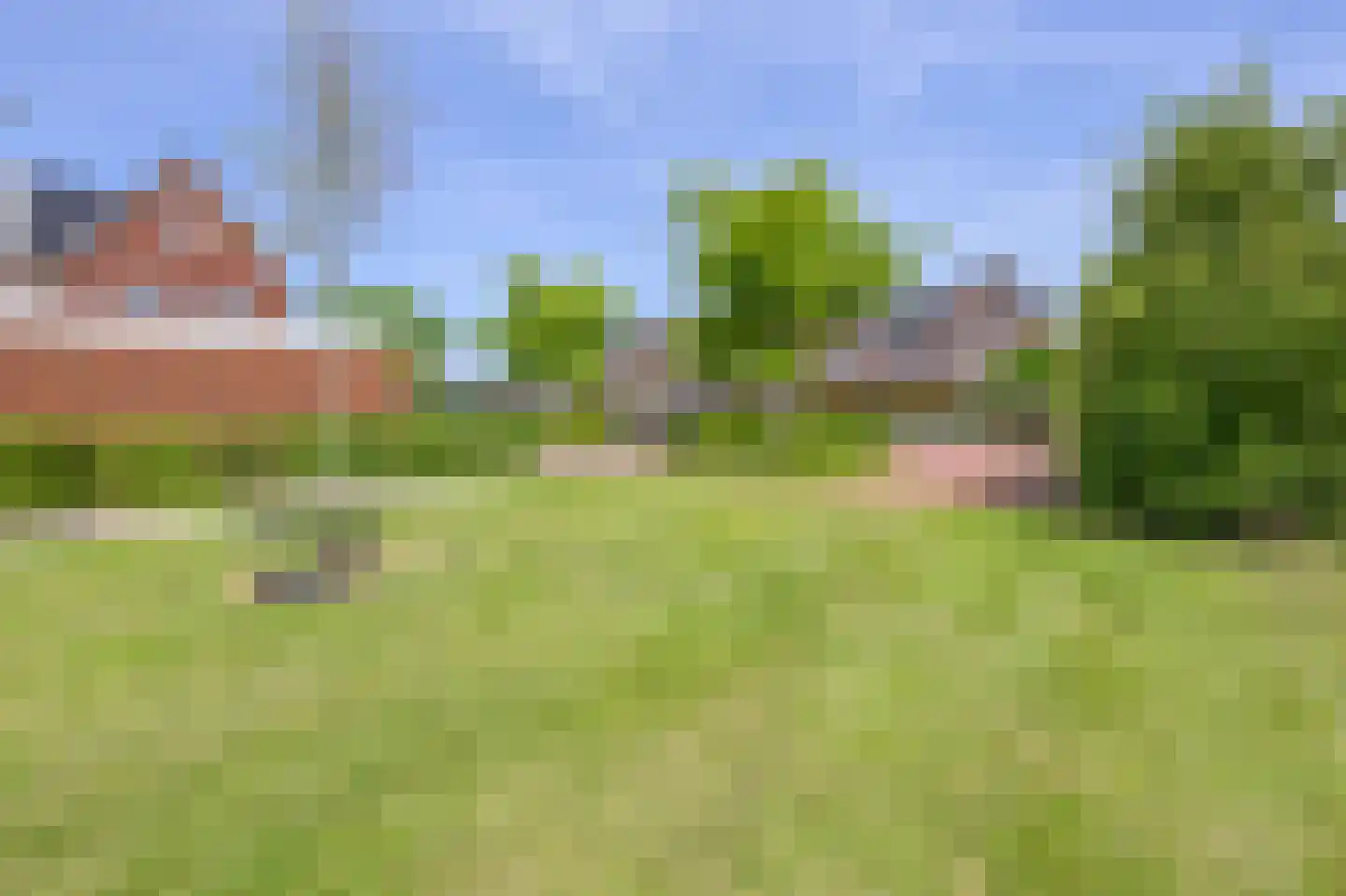 Liguster 8 Nieuwveen thumbnail 47