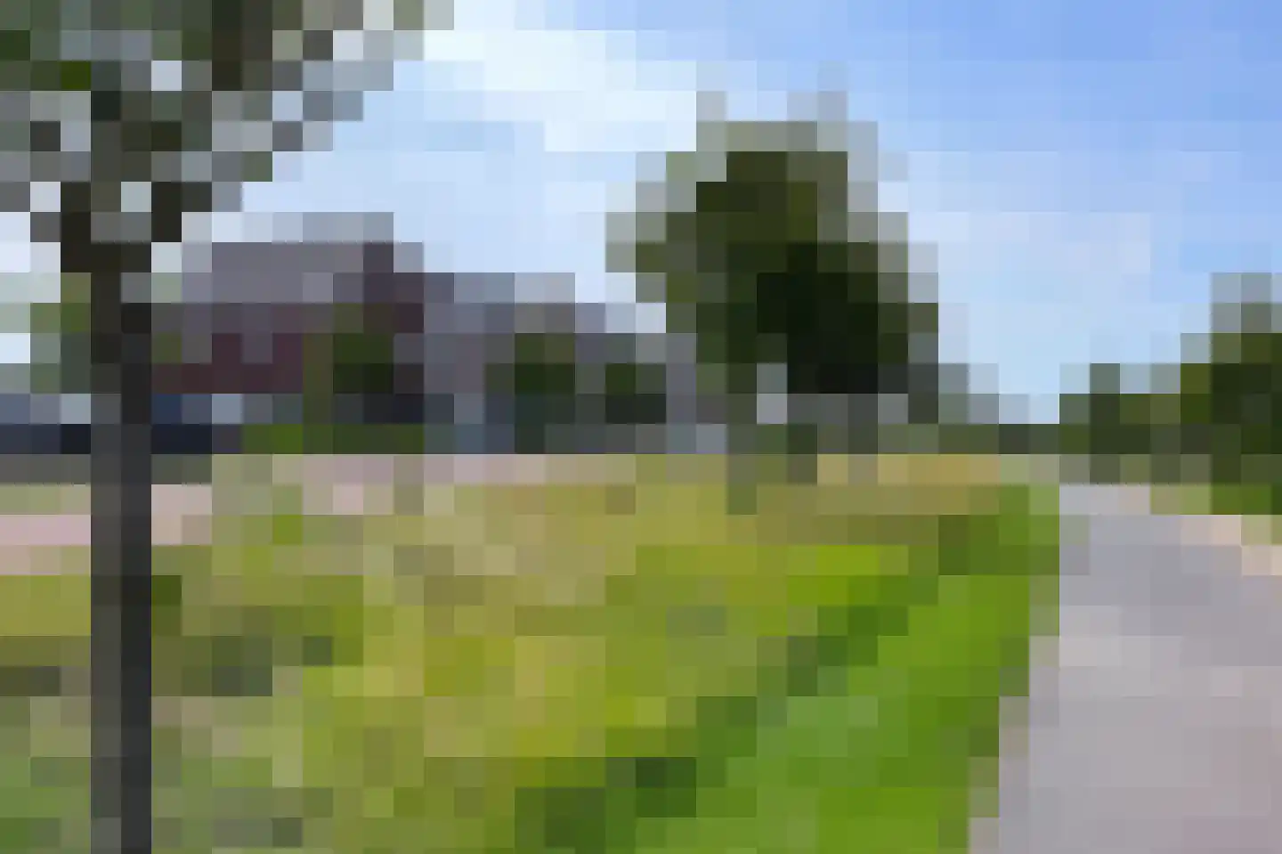 Liguster 8 Nieuwveen thumbnail 49