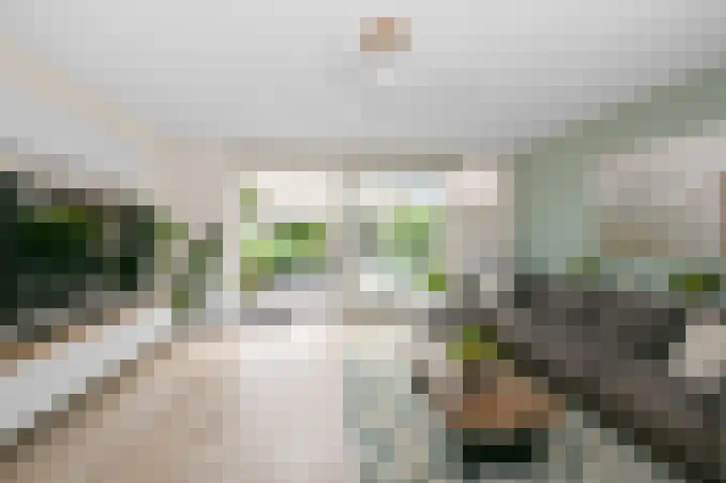 Liguster 8 Nieuwveen thumbnail 6