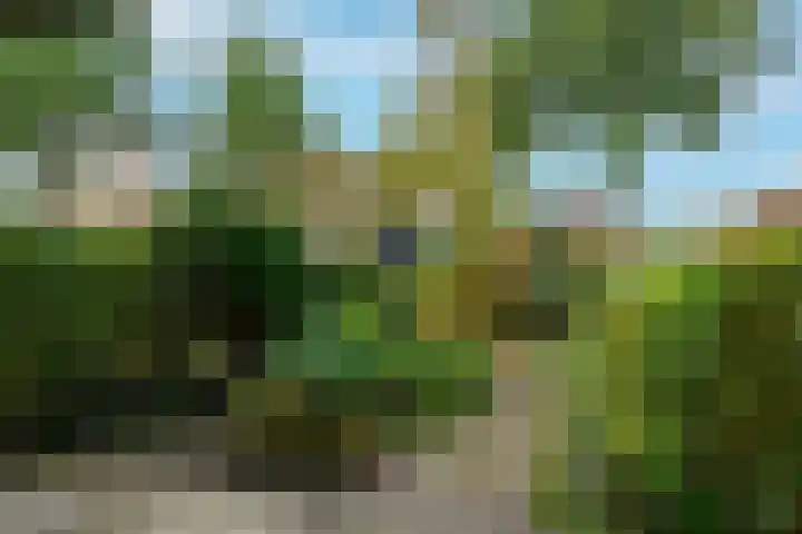 Ligusterbes 12 Leiden thumbnail 15