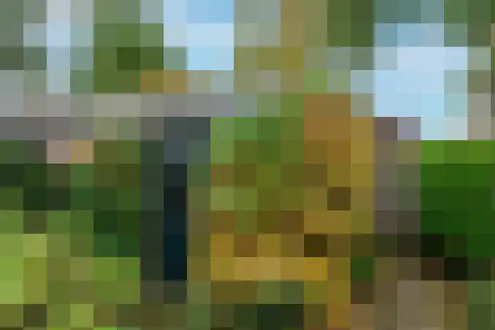 Ligusterbes 12 Leiden thumbnail 17