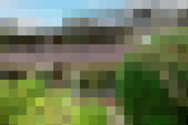 Ligusterbes 12 Leiden thumbnail 18