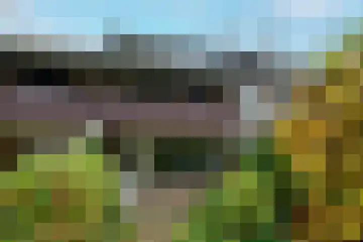 Ligusterbes 12 Leiden thumbnail 19