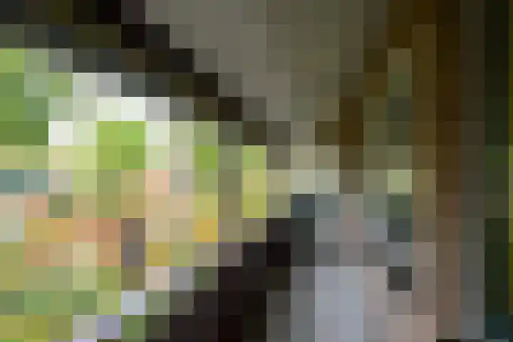 Ligusterbes 12 Leiden thumbnail 29