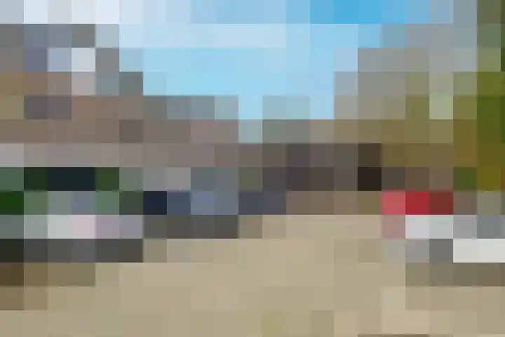 Ligusterbes 12 Leiden thumbnail 43