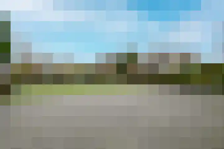 Ligusterbes 12 Leiden thumbnail 45