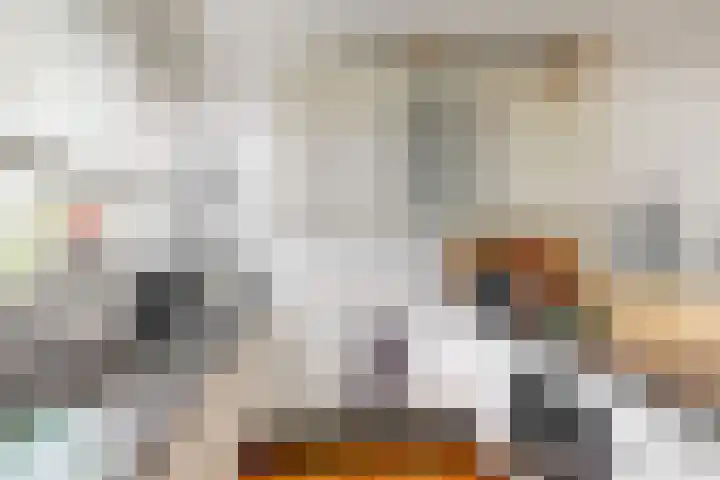 Ligusterbes 14 Leiden thumbnail 11