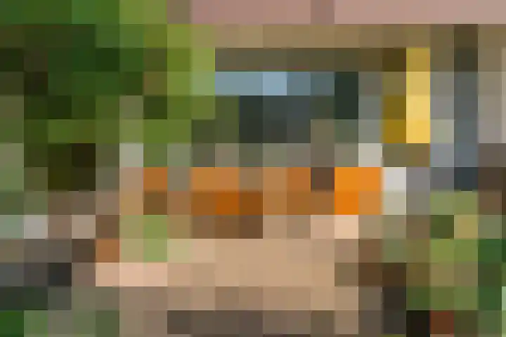 Ligusterbes 14 Leiden thumbnail 24