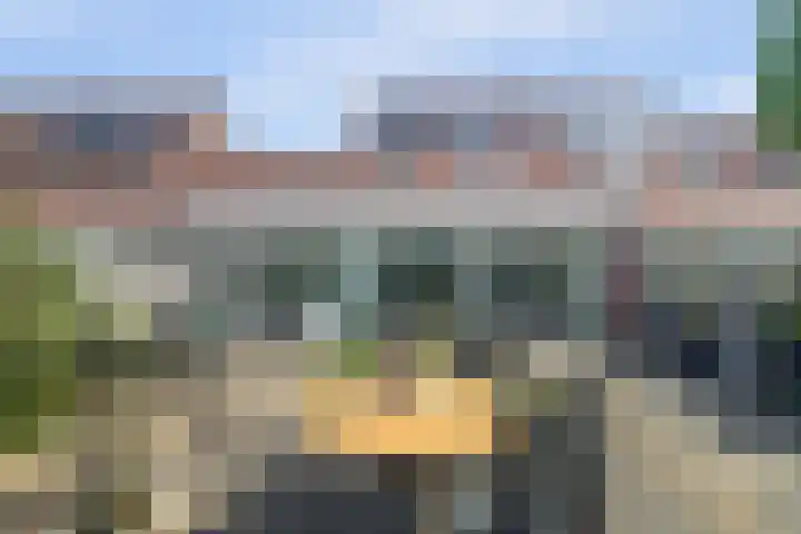 Ligusterbes 14 Leiden thumbnail 6