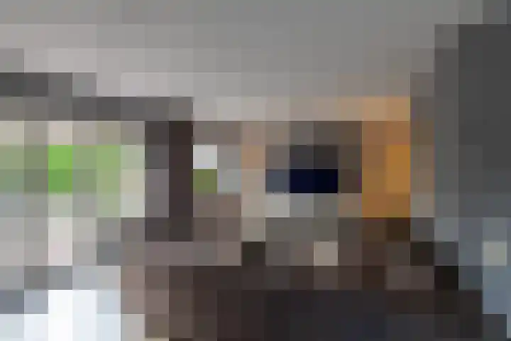 Ligusterhage 1 Assen thumbnail 10