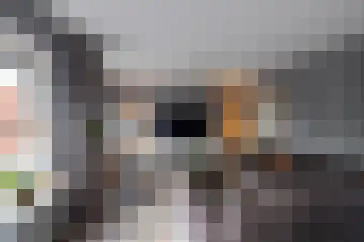 Ligusterhage 1 Assen thumbnail 12