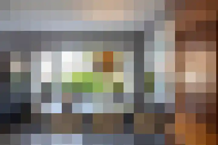 Ligusterhage 1 Assen thumbnail 22