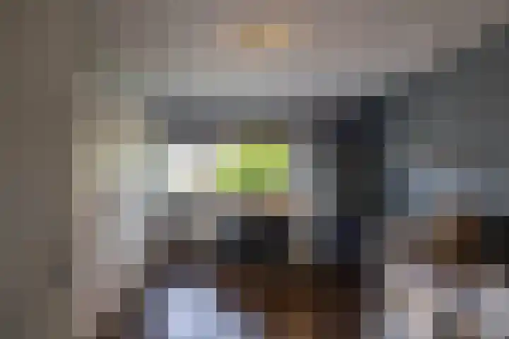 Ligusterhage 1 Assen thumbnail 30