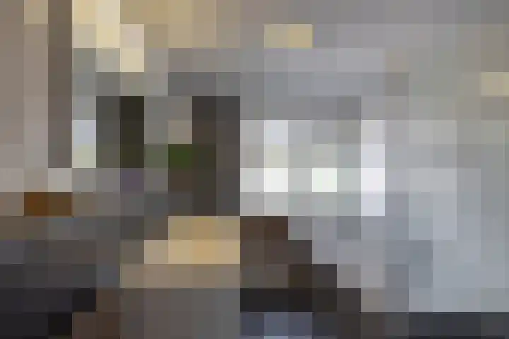 Ligusterhage 1 Assen thumbnail 33