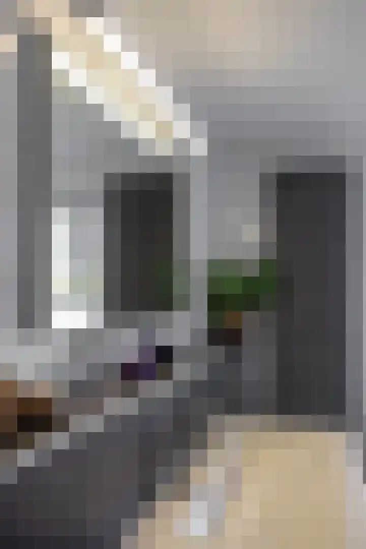 Ligusterhage 1 Assen thumbnail 38