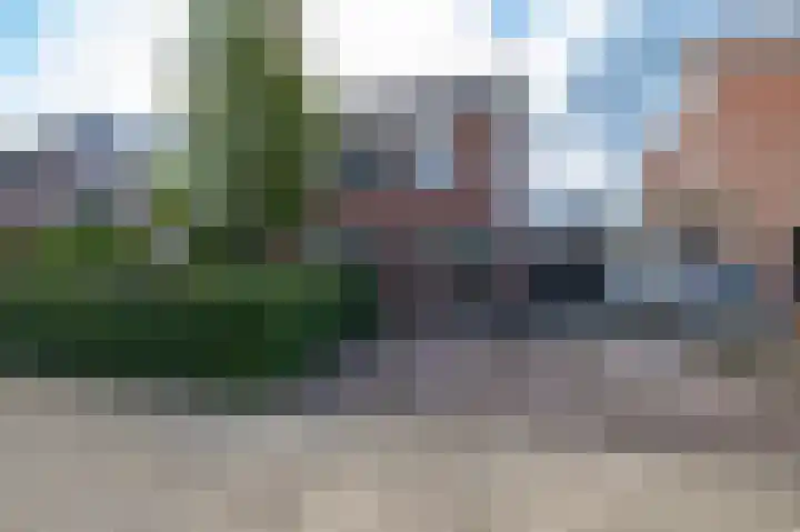 Ligusterhage 1 Assen thumbnail 4