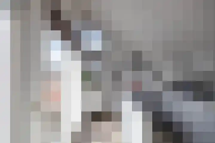 Ligusterhage 1 Assen thumbnail 43