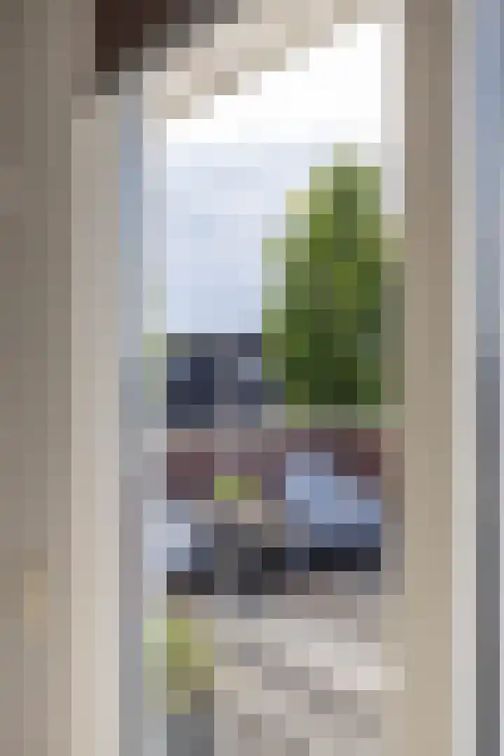 Ligusterhage 1 Assen thumbnail 45
