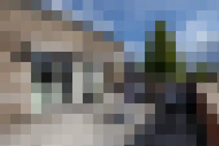 Ligusterhage 1 Assen thumbnail 46