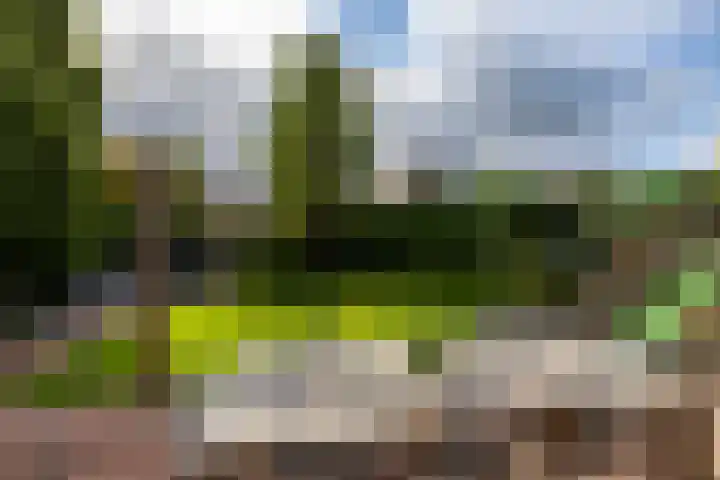 Ligusterhage 1 Assen thumbnail 48