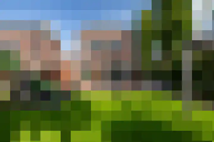 Ligusterhage 1 Assen thumbnail 49