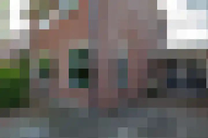 Ligusterhage 1 Assen thumbnail 5