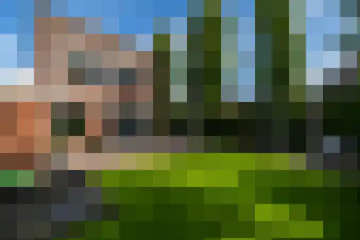 Ligusterhage 1 Assen thumbnail 50