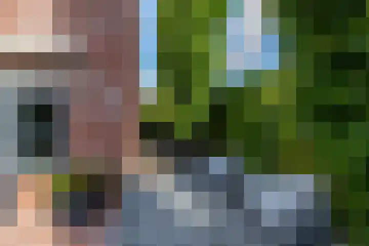 Ligusterhage 1 Assen thumbnail 52
