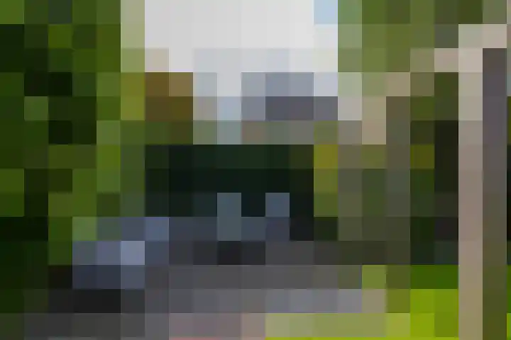 Ligusterhage 1 Assen thumbnail 53