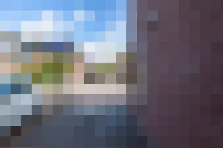 Ligusterhage 1 Assen thumbnail 6