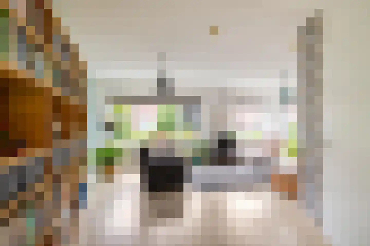 Ligusterhage 26 Assen thumbnail 12