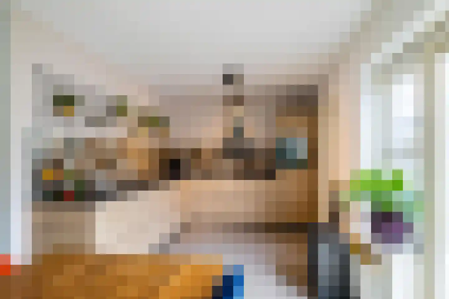 Ligusterhage 26 Assen thumbnail 19