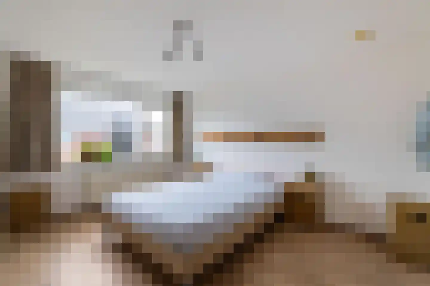 Ligusterhage 26 Assen thumbnail 27