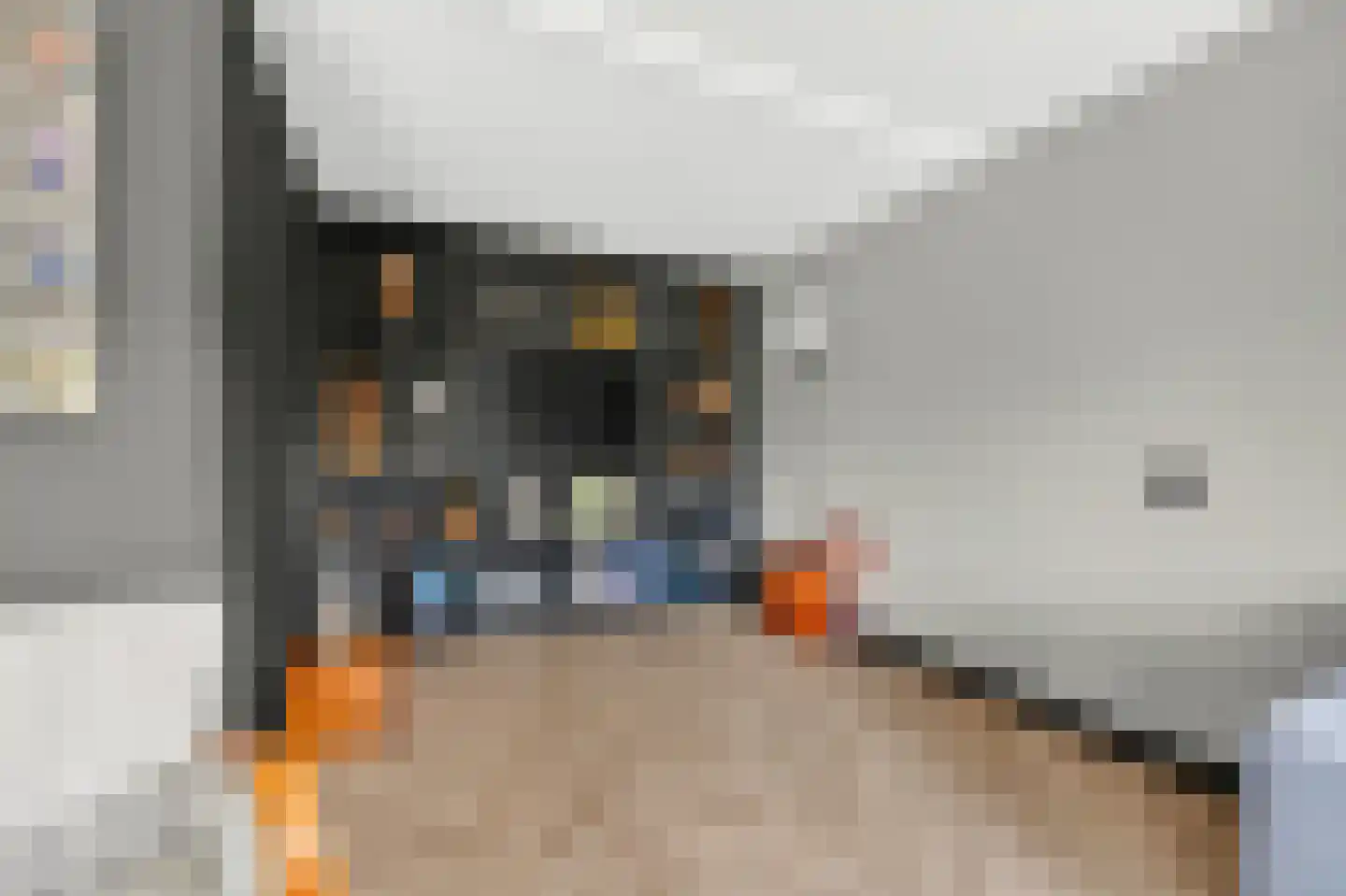 Ligusterhof 1 Papendrecht thumbnail 11