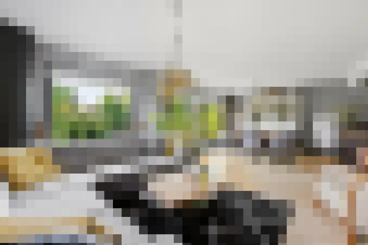 Ligusterhof 1 Papendrecht thumbnail 12