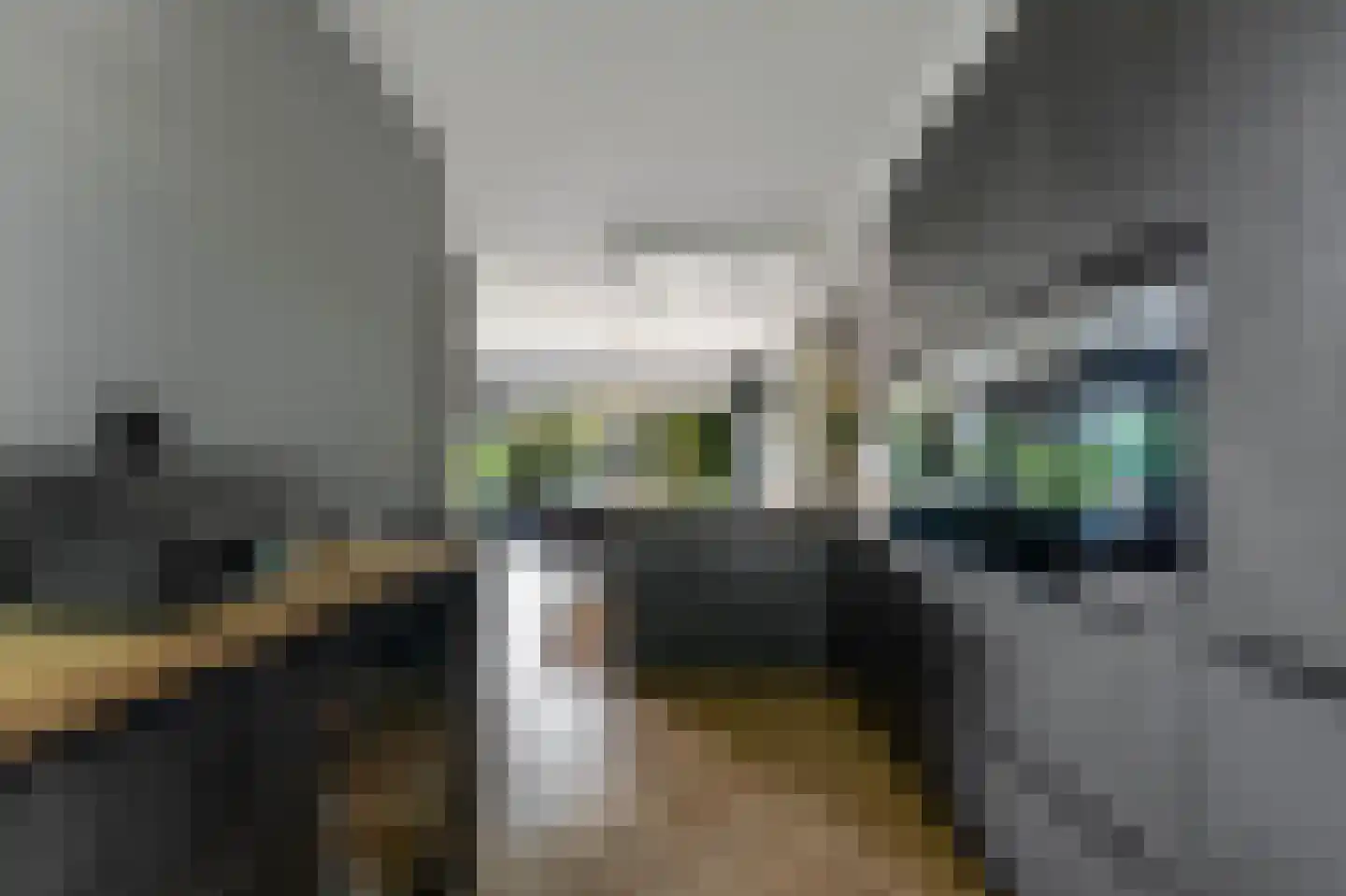 Ligusterhof 1 Papendrecht thumbnail 15