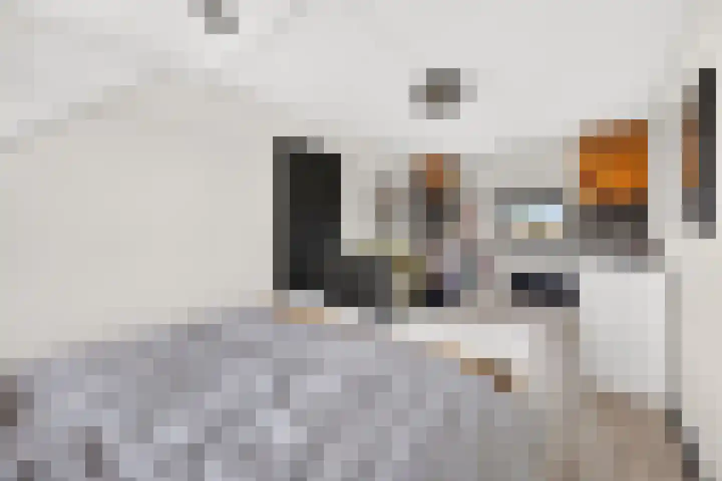 Ligusterhof 1 Papendrecht thumbnail 17