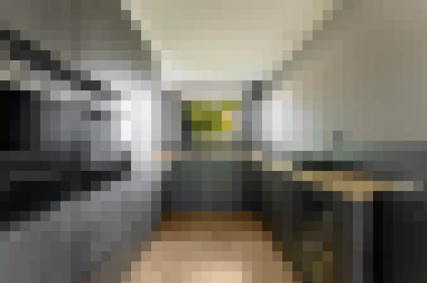 Ligusterhof 1 Papendrecht thumbnail 4